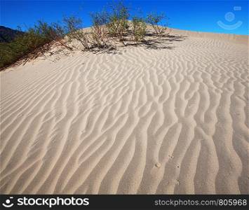 Deserts dune
