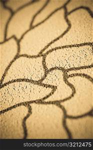 Design on dried clay surface