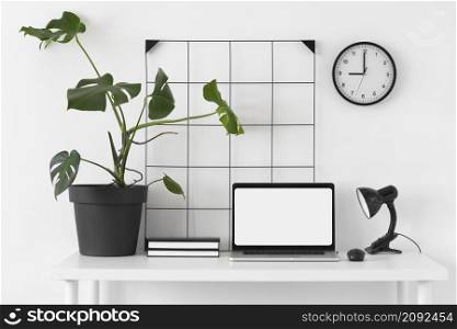 desk arrangement with laptop plant