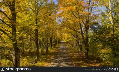 Desolate country road has leaves falling in autumn season New York