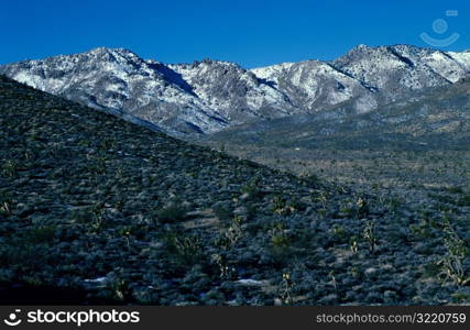 Desolate Mountains