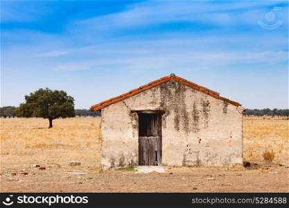 desolate old house with a wooden door in the middle of the field