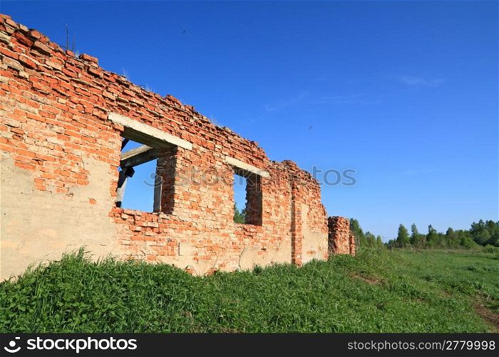 destroyed brick wall amongst herbs