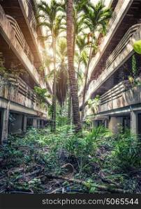 Destroyed Jungle overgrown buildings. photo.