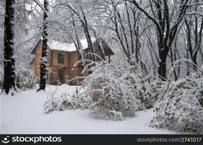 detached house in winter snow covered city park (dull day)