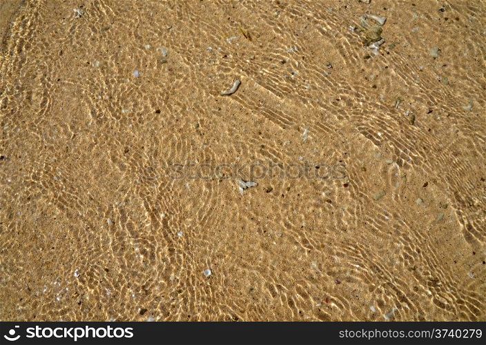 Detail at a tropical beach with water, sand and corals
