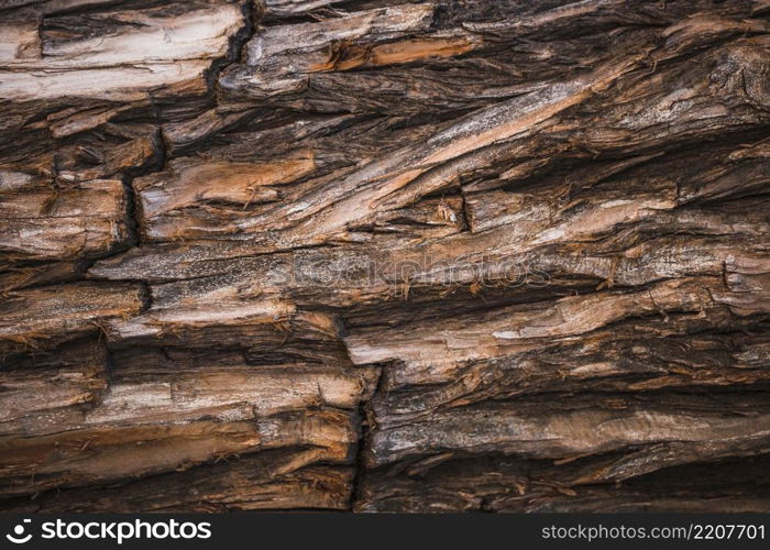 detail brown trunk