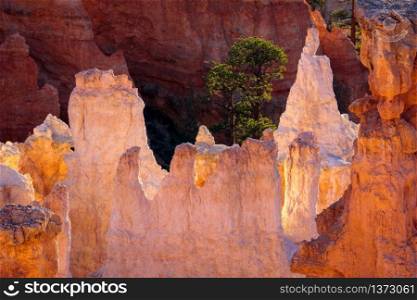 Detail from Bryce Canyon Southern Utah