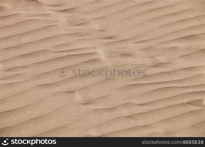 Detail of a beautiful desert sand beach