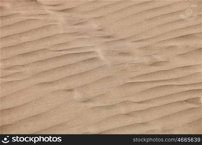 Detail of a beautiful desert sand beach