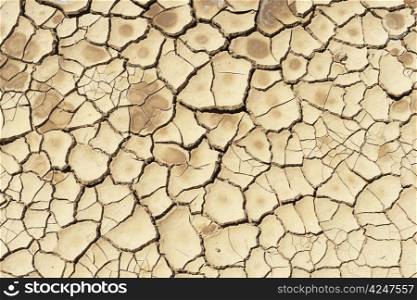 Detail of a cracked dry soil in water shortage time