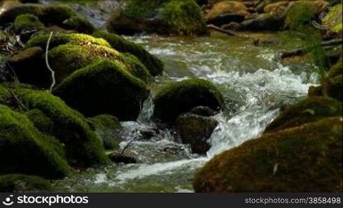 Detail of a fresh forest creek with mossy stones