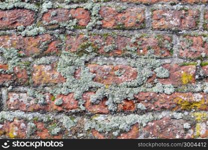 Detail of a monumental old wall in Wassenaar, The Netherlands.