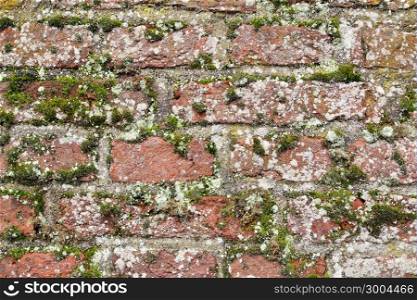 Detail of a monumental old wall in Wassenaar, The Netherlands.