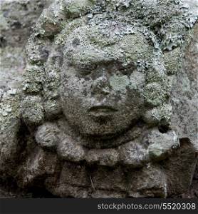 Detail of a sculpture, Copan, Copan Ruinas, Copan Department, Honduras