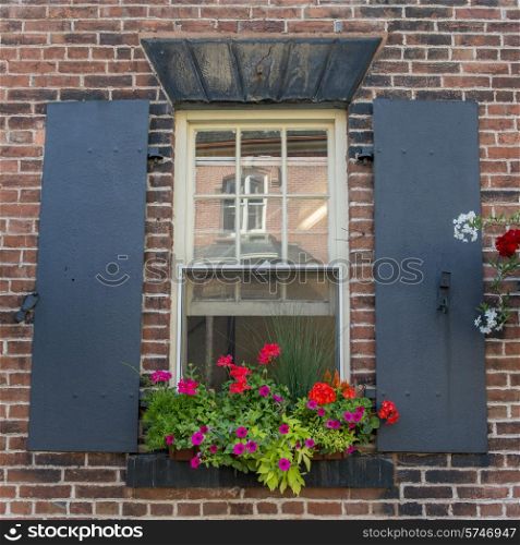 Detail of a window with flowers, Charlottetown, Prince Edward Island, Canada