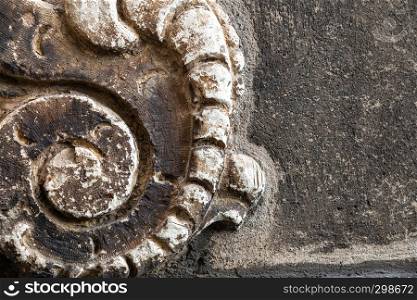 detail of an ancient artistic stone of an Italian medieval city