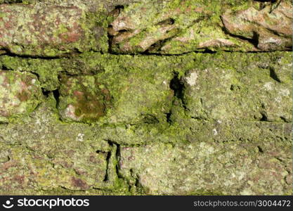 Detail of an old monumental wall in Wassenaar, The Netherlands.