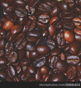 Detail of coffee beans. Square format image