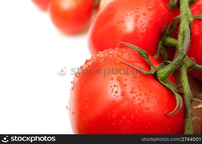 Detail of Fresh Tomatoes With Dews of Water Droplets on White Background