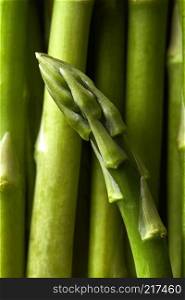 Detail of green asparagus officinalis vegetables. Food background. Flat lay. Detail of Asparagus officinalis vegetables