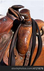Detail of Horse Saddles