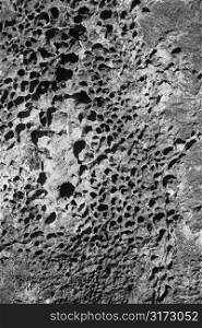 Detail of igneous rock formation.