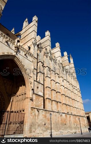 Detail of Mallorca cathedral, in Palma de Mallorca, Spain