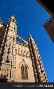Detail of Mallorca cathedral, in Palma de Mallorca, Spain