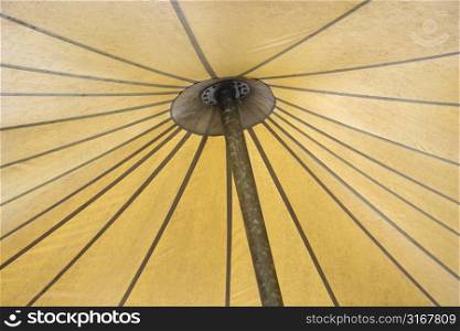 Detail of open umbrella underside.