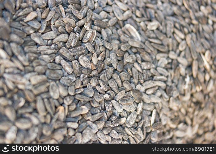 Detail of roasted salty sunflower seeds on a fair stall, dramatic selective focus