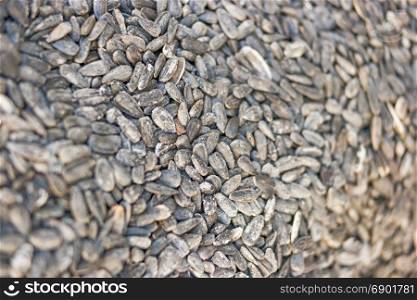 Detail of roasted salty sunflower seeds on a fair stall, dramatic selective focus