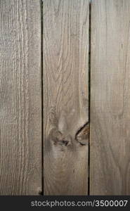 Detail of Rustic Wood Paneling with Knot Holes