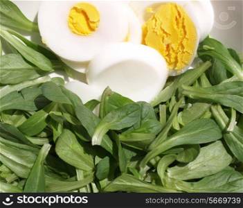 Detail of salad with lettuce and eggs. Salad