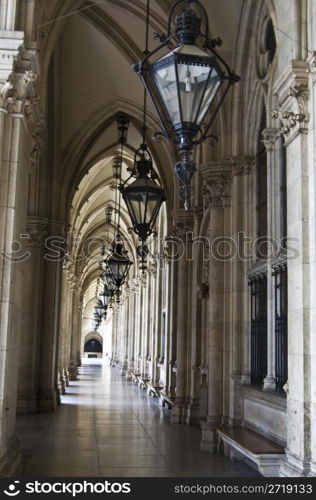 detail of the beautiful city hall of Vienna