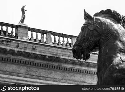 detail of the bronze statue of Marco Aurelio&rsquo;s horse in Campidoglio, Rome