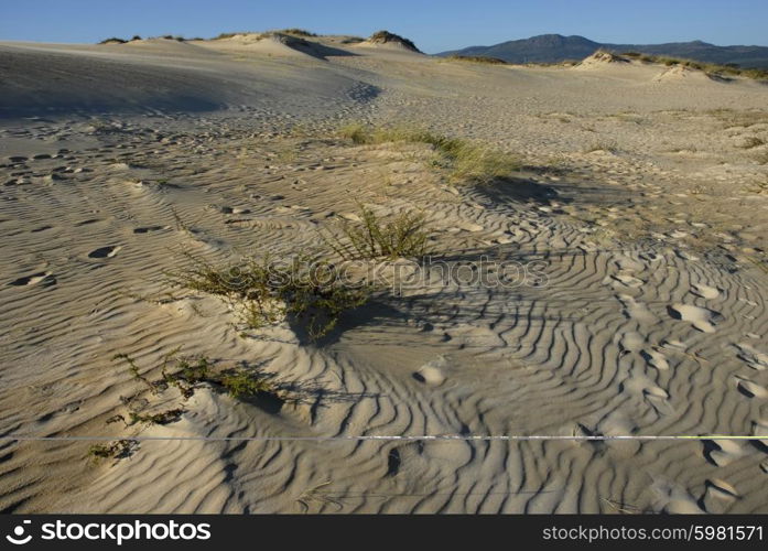 detail of the north of spain desert