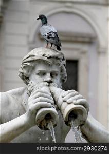 detail of the statue of the fountain in Piazza Navona with a pigeon on his head