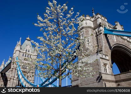 Detail of the tower bridge of London, England