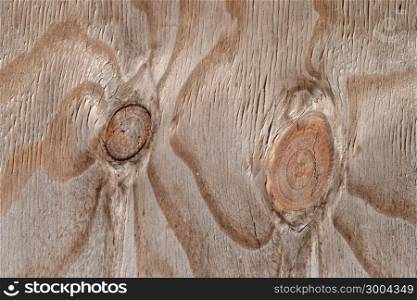 Detail of wood brushes into a wooden fence.