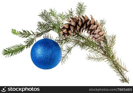 detail of xmas frame - branch of spruce with cone and blue ball on white background
