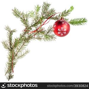detail of xmas frame - twig of fir tree with cone and red ball on white background