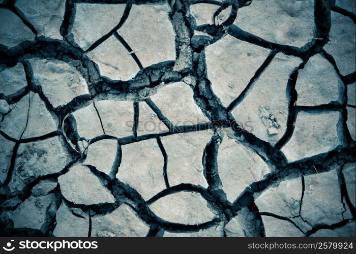 Detail texture of a dried cracked earth soil