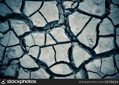 Detail texture of a dried cracked earth soil