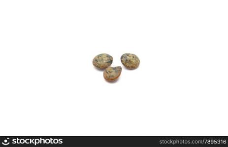 Detailed but simple image of lentils du Puy