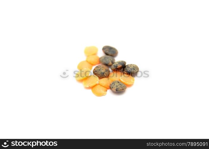Detailed but simple image of lentils on white