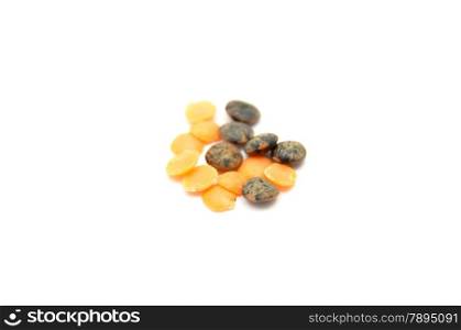 Detailed but simple image of lentils on white