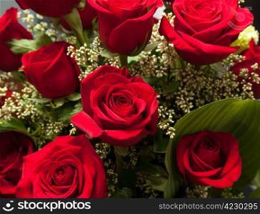 Detailed close shot of velvet red roses in romantic valentines bouquet