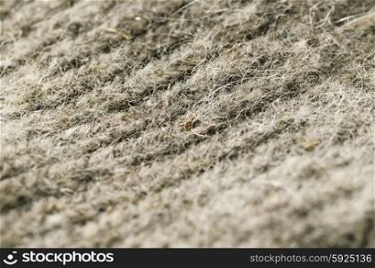 detailed texture of a wool fabric, shallow dof