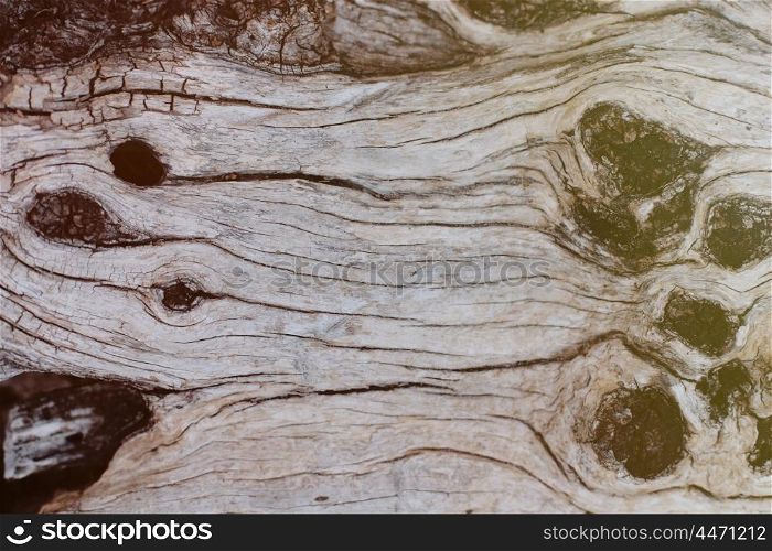 Details of a rustic wood grain for wallpaper